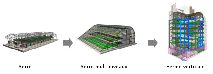 Serre, serre multi-niveaux, ferme verticale